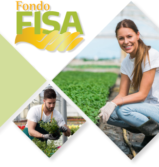 fondo FISA